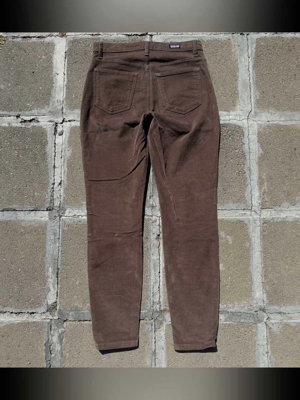 Patagonia Brown Corduroy Pants